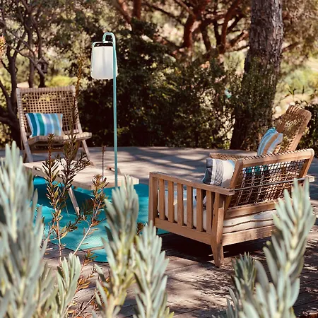 Thalassa Art' ベッド・アンド・ブレックファスト ル・ラヴァンドゥー