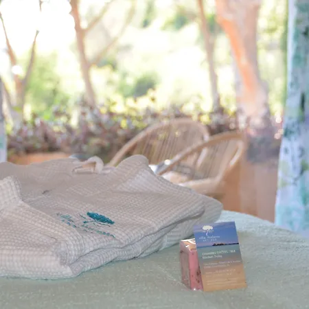 Thalassa Art' 4* Le Lavandou