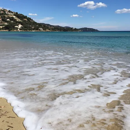 Thalassa Art' 4* Le Lavandou