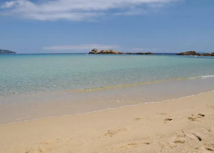 Thalassa Art' 4* Le Lavandou